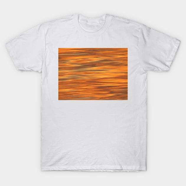 Orange T-Shirt by Chris Petty